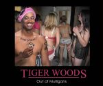 Tiger Poster Out of Mulligans&nbsp;Funny