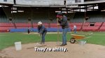 Major League Groundskeeper