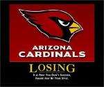 Arizona Cardinals Suck&nbsp;poster