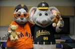 Lou Seal and&nbsp;Stomper